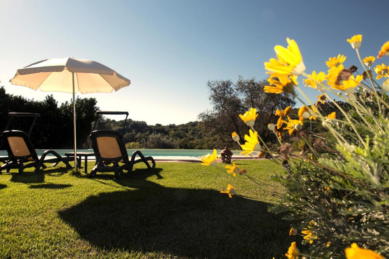 Villa Poggio Sasseta à Montiano  Extérieur photo